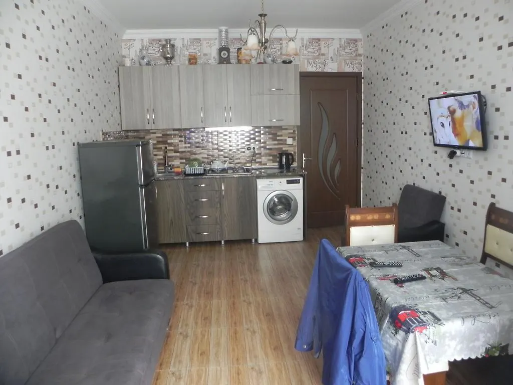 Apartment Rustaveli 59 巴统